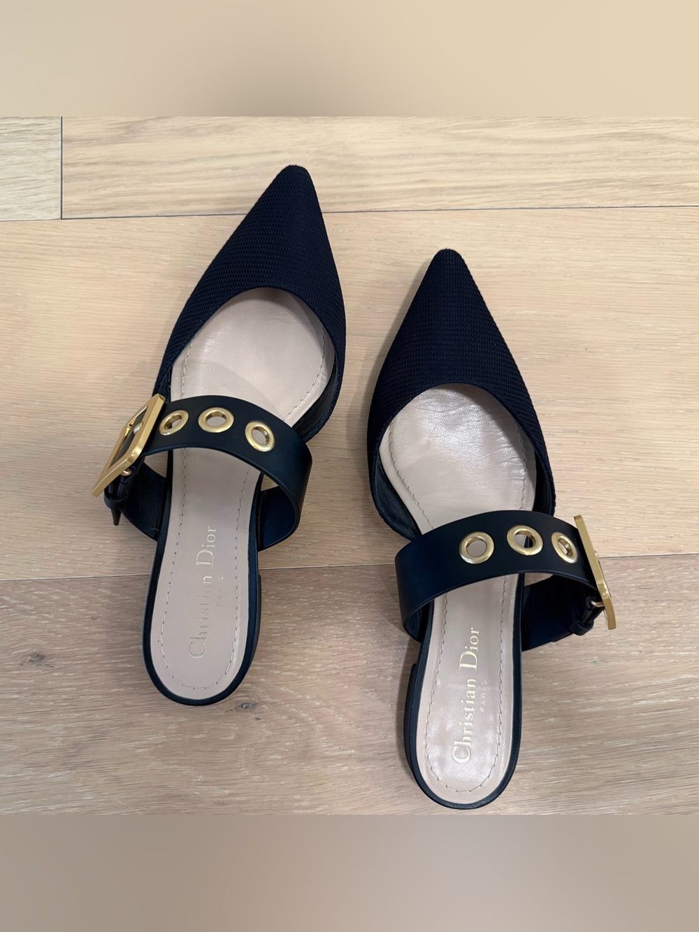Dior Pointed-Toe Flat Mules (Black Technical Fabric)